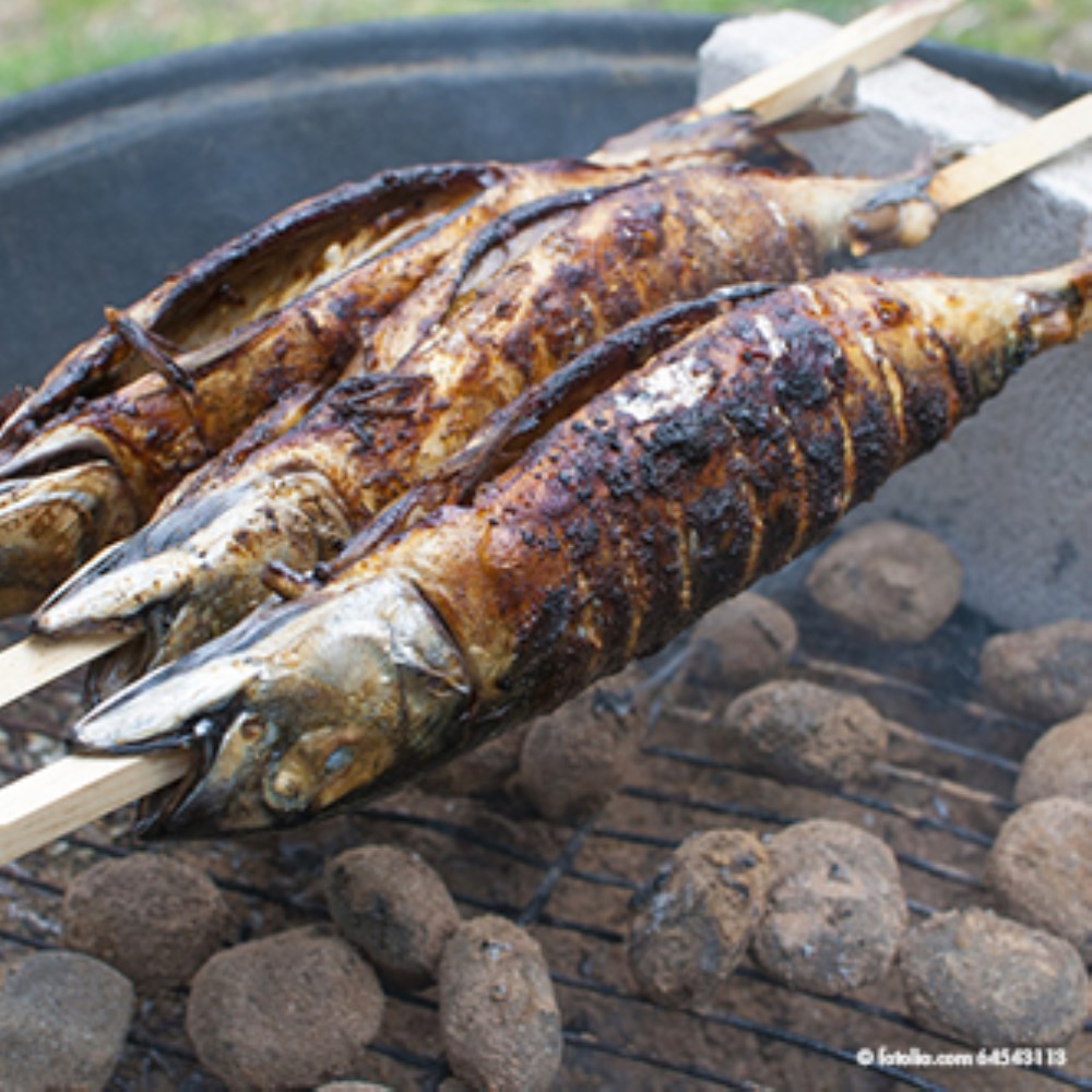 20 Grill-Spieße "pure" 80 cm x 8 mm x 8 mm "Steckerlfisch"