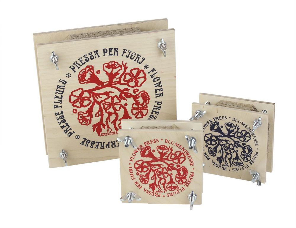 Blumenpresse 18 x 18 cm - Made in Germany -Forschen & Entdecken