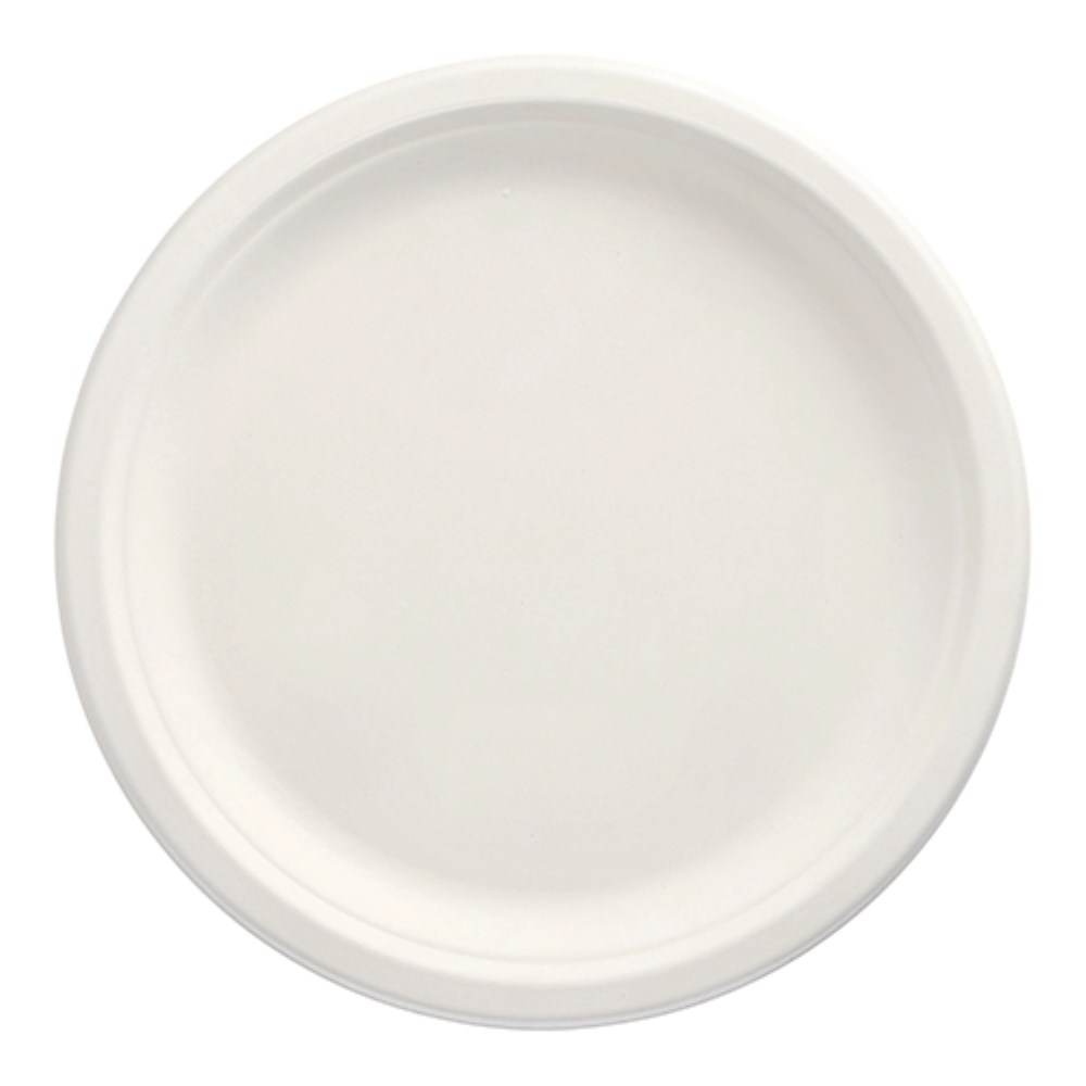 100 Teller, Zuckerrohr "pure" ungeteilt Ø 26 cm · 2 cm weiss