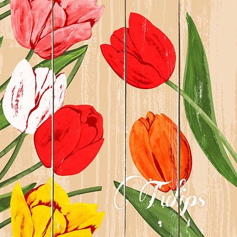 50 Servietten, 3-lagig 1/4-Falz 40 cm x 40 cm "Blooming Tulips"