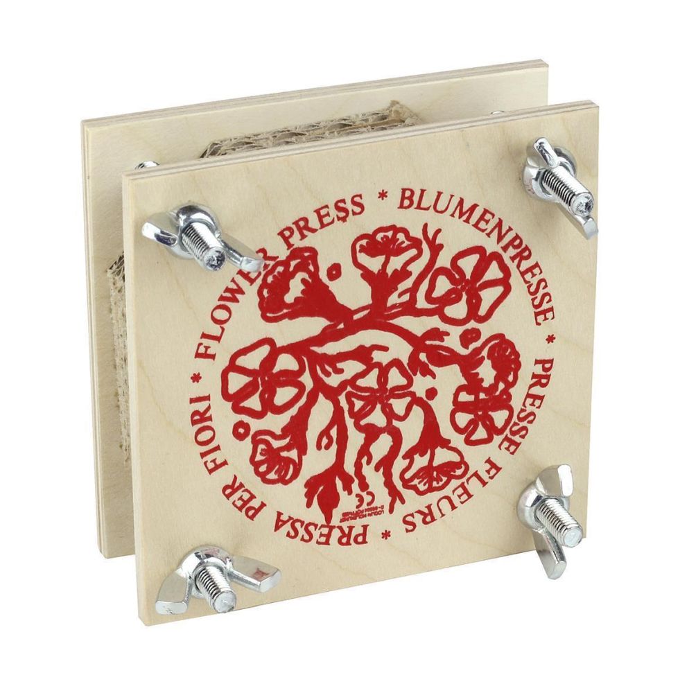 Blumenpresse 18 x 18 cm - Made in Germany -Forschen & Entdecken