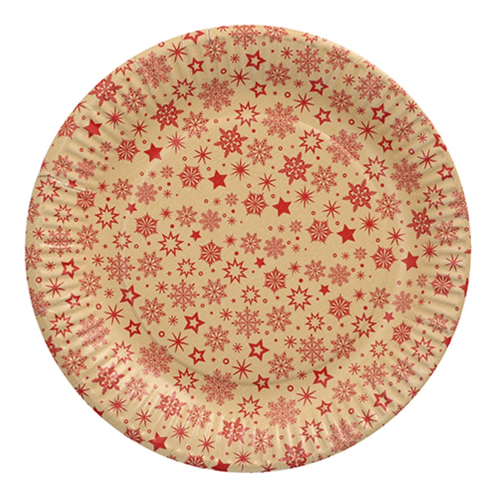 10 Teller, Pappe rund Ø 23 cm "Snöflinga"