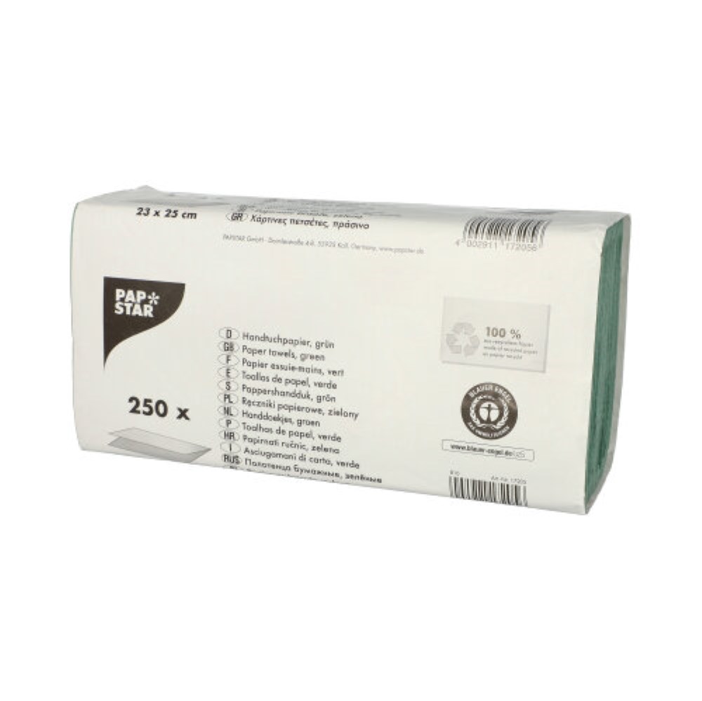 250 Blatt Handtuchpapier V-Falz 23 cm x 25 cm grün Zick Zack, 1-lagig