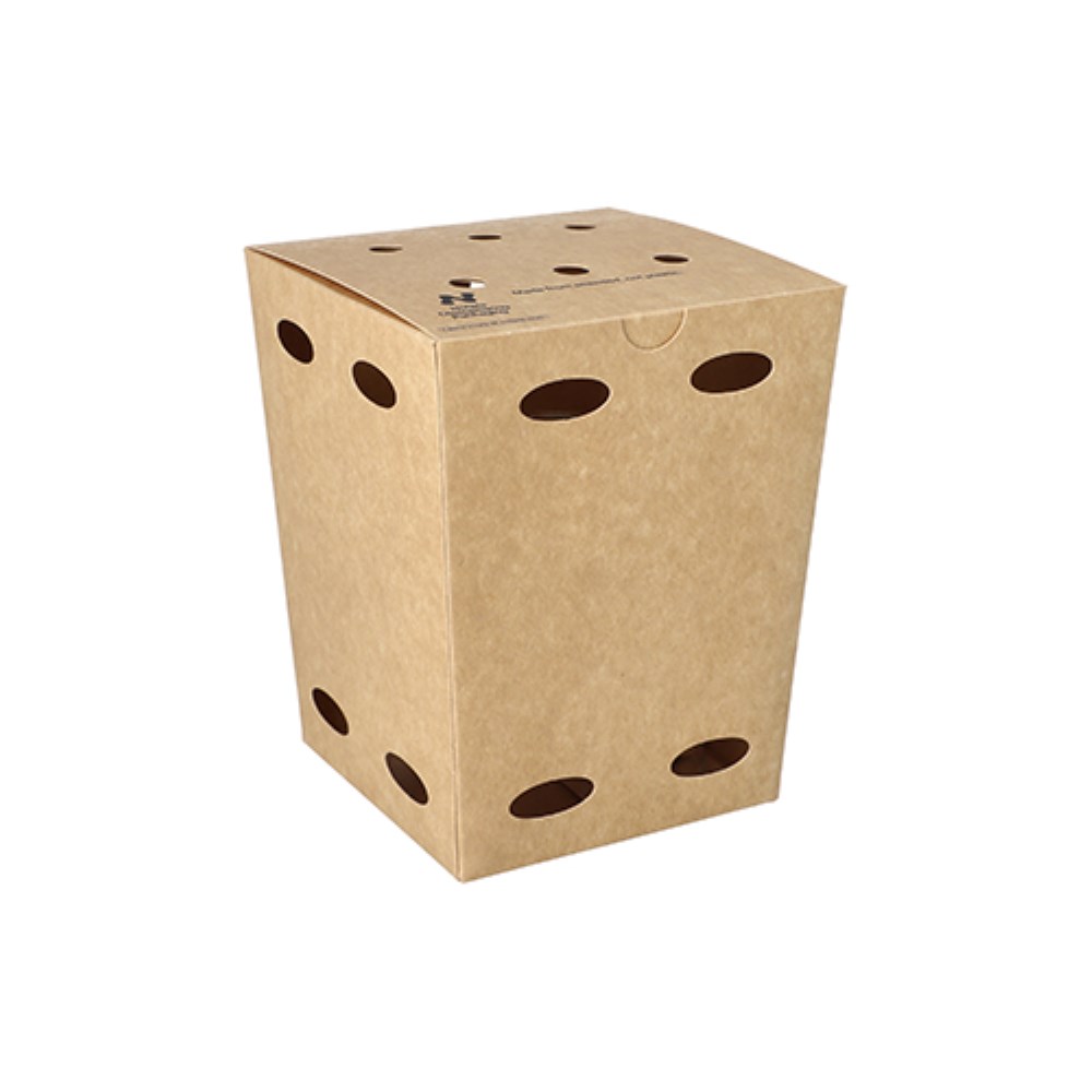 100 Pommes-Frites-Boxen, Pappe "NOTPLA" 15 cm x 10,5 cm x 10,5 cm braun 100 Pommes-Frites-Boxen, Pappe "NOTPLA" 15 cm x 10,5 cm x 10,5 cm braun