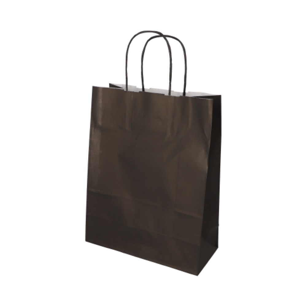 25 Tragetaschen, Papier 28 cm x 22 cm x 10 cm schwarz mit gedrehtem Tragegriff