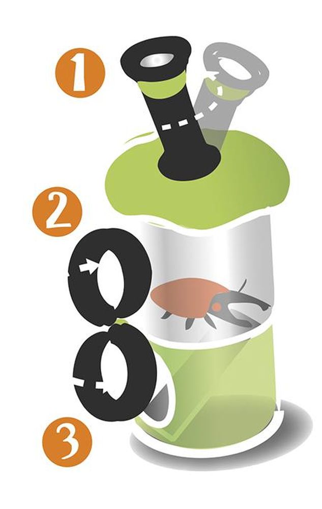 Mikroskop Box Käfer Groß - Made in Italy -Forschen & Entdecken