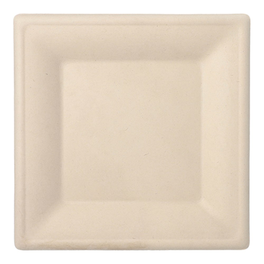 50 Teller, Zuckerrohr "pure" eckig 26 cm x 26 cm natur