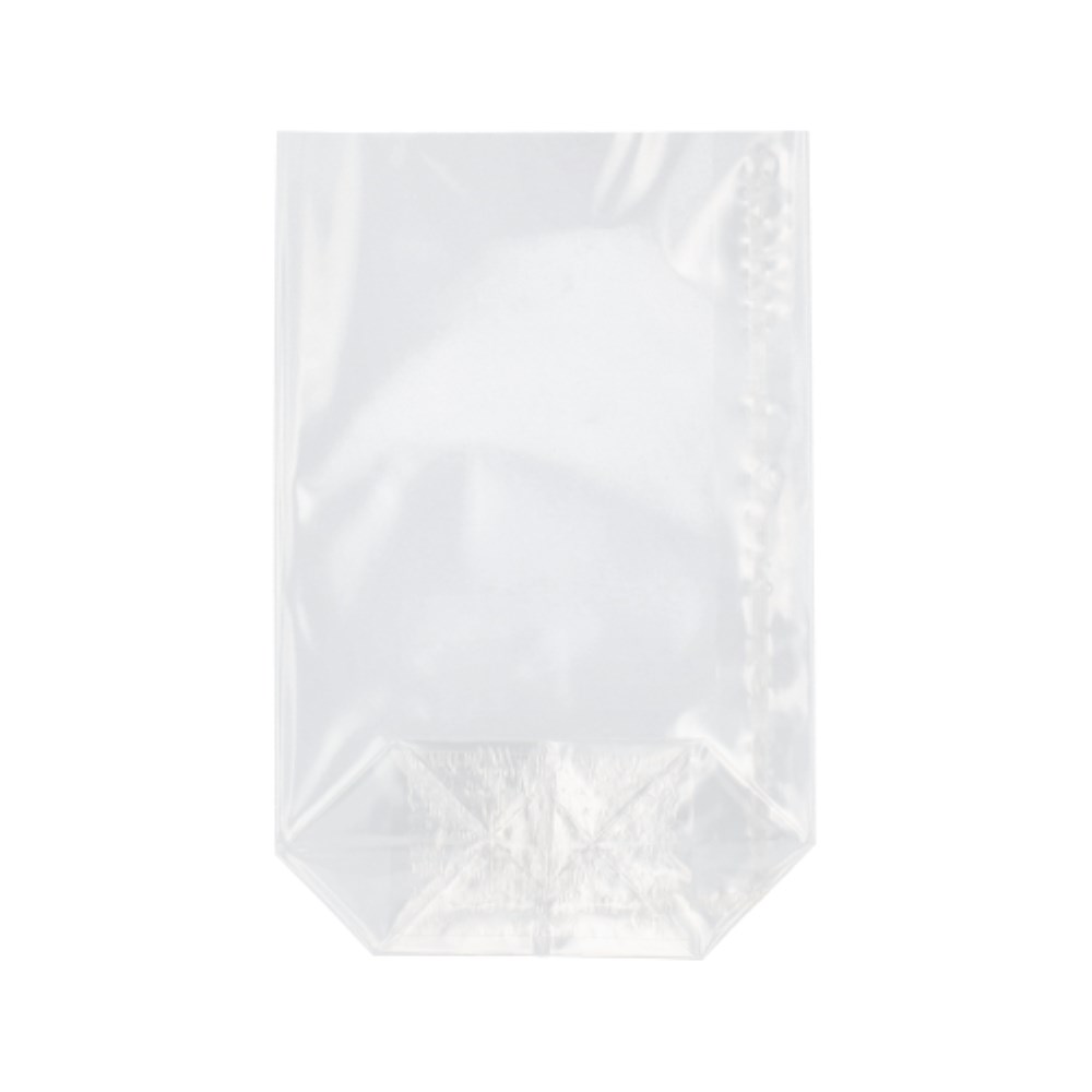 300 Bodenbeutel, PP 17,3 cm x 11,5 cm x 4 cm transparent