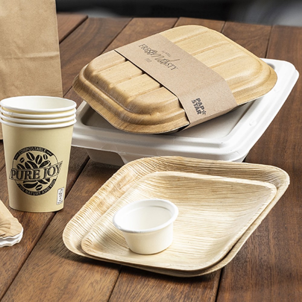 25 Teller, Palmblatt "pure" eckig 20 cm x 20 cm x 2 cm