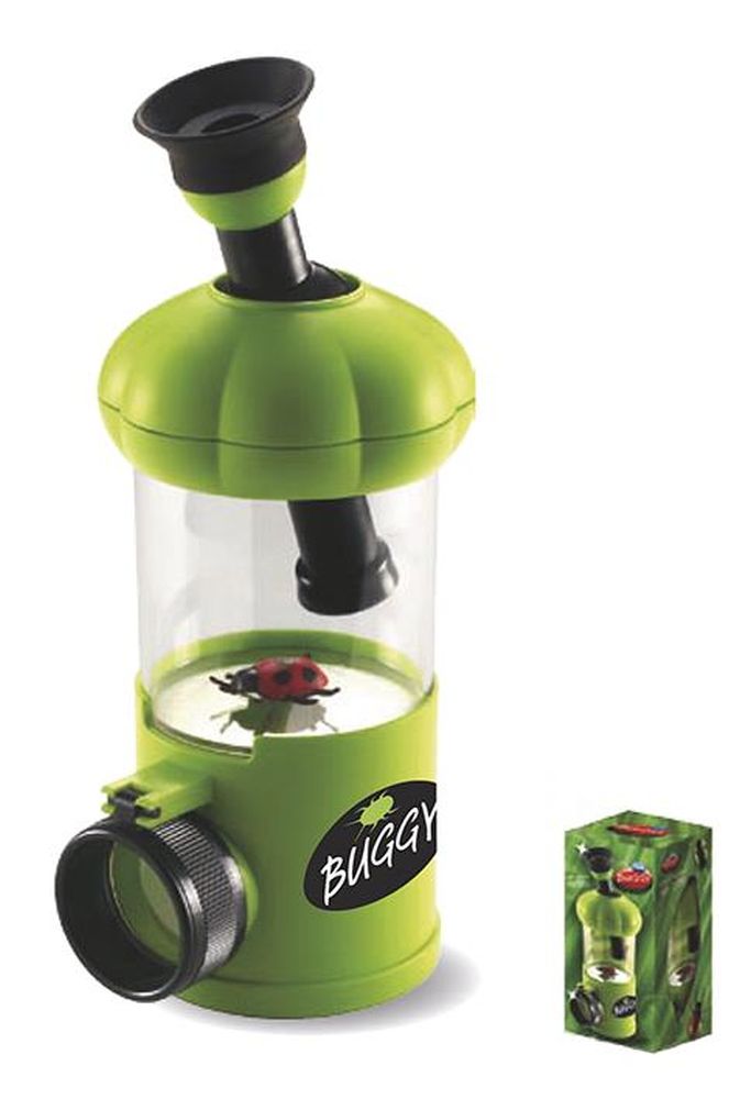 Mikroskop Box Käfer Groß - Made in Italy -Forschen & Entdecken