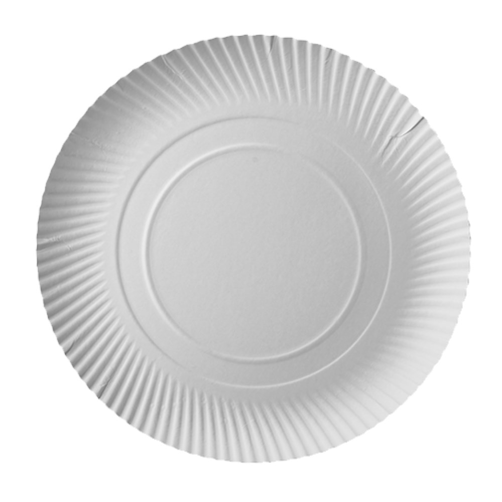 100 Teller, Pappe "pure" rund Ø 32 cm · 2 cm weiss