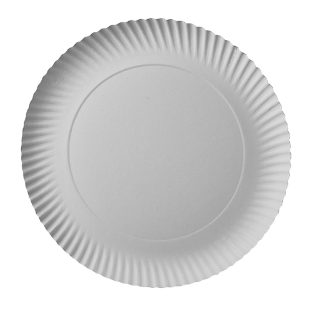 100 Teller, Pappe "pure" rund Ø 29 cm · 2 cm weiss