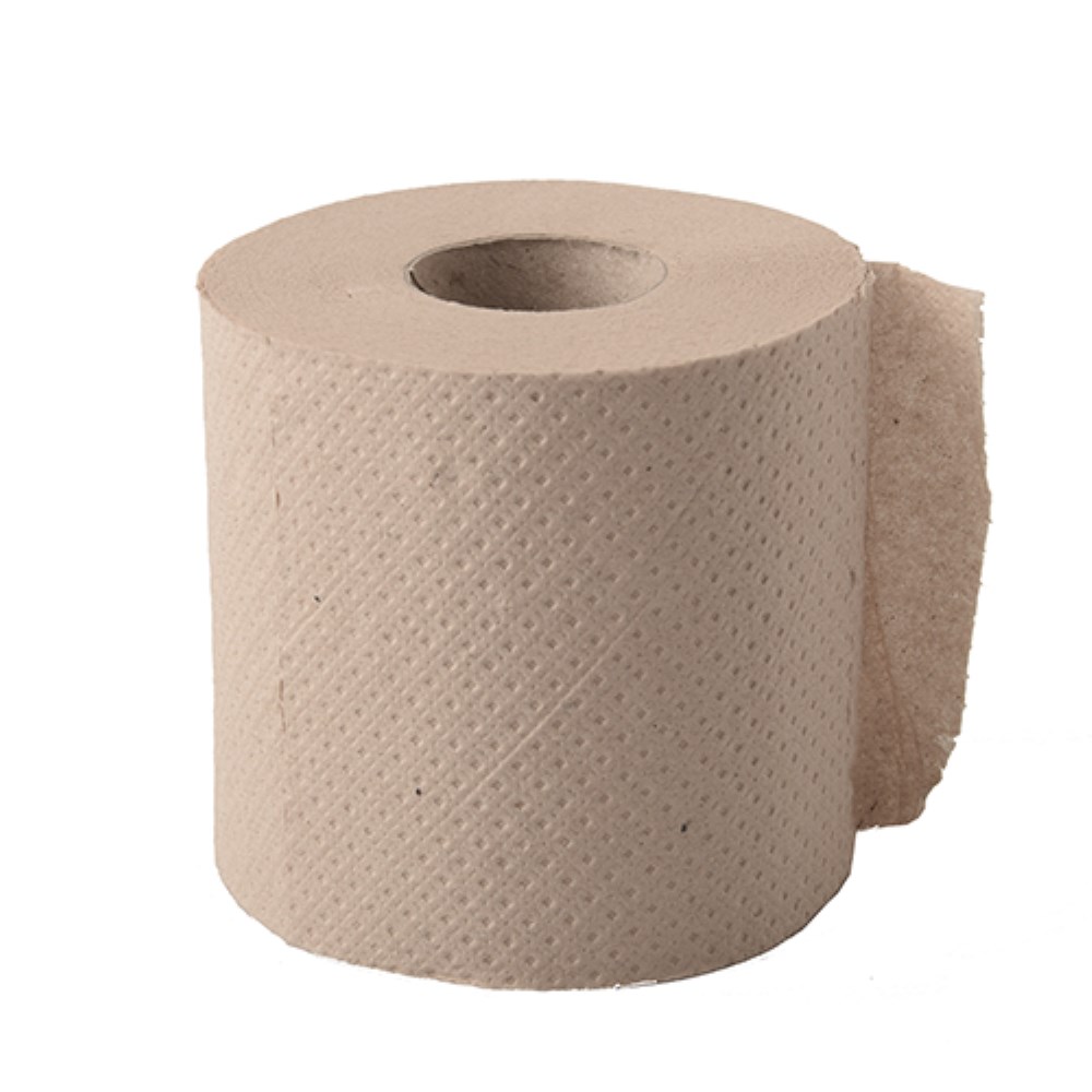 48 Rollen Toilettenpapier Tissue 10 cm x 9,5 cm hellbraun "soft" 2-lagig, 300 Blatt, Recycling