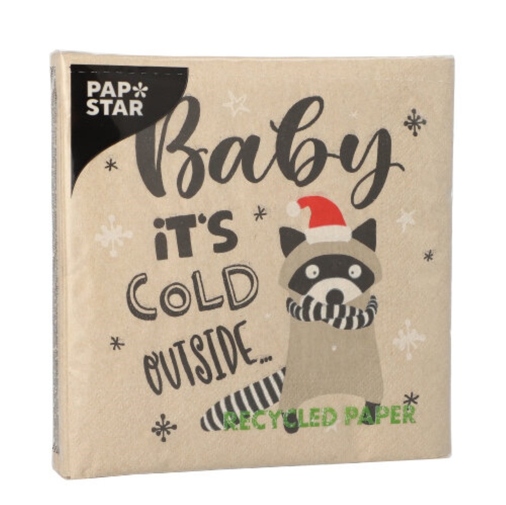 20 Servietten, 3-lagig 1/4-Falz 33 cm x 33 cm natur "It´s cold outside" aus recyceltem Papier
