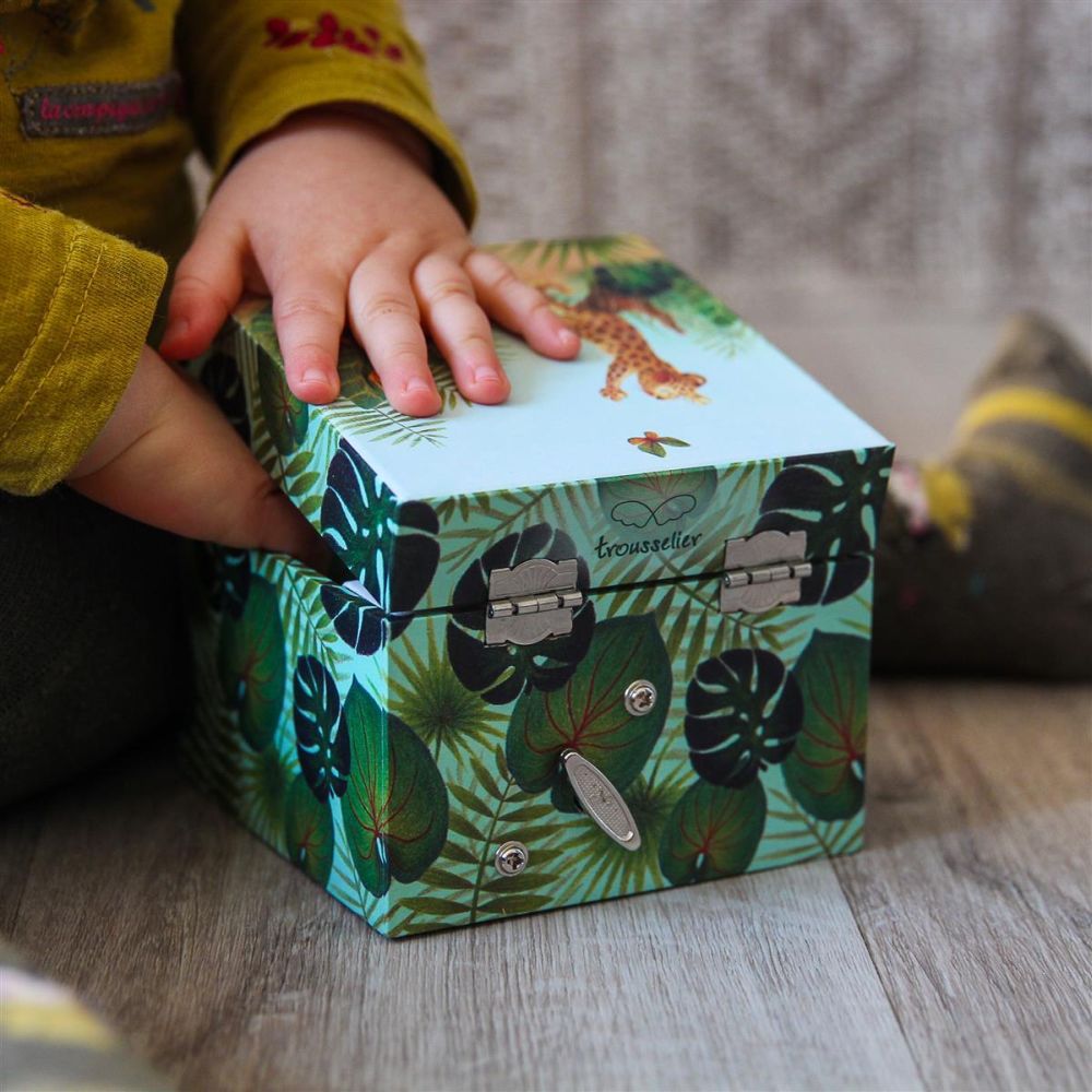 Spieldose Savanna