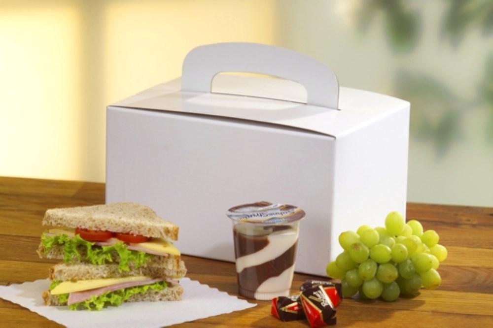 20 Lunch-Boxen, Pappe "pure" eckig 12,5 cm x 15,5 cm x 22,5 cm weiss mit Tragegriff
