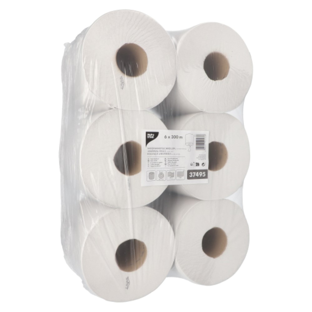 6 Universalrollen Ø 19 cm · 300 m x 19 cm "Mikroprägung" Handtuchrollen, Innenauszug